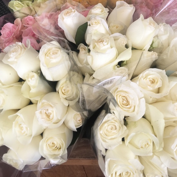 Meet your Posher, Jaclyn - Picture 1 of 1